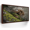 Featured image 10 for Ocean Guardian - Maui, HI