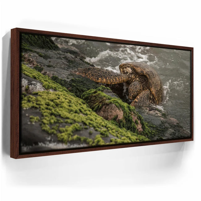 Featured image 10 for Ocean Guardian - Maui, HI