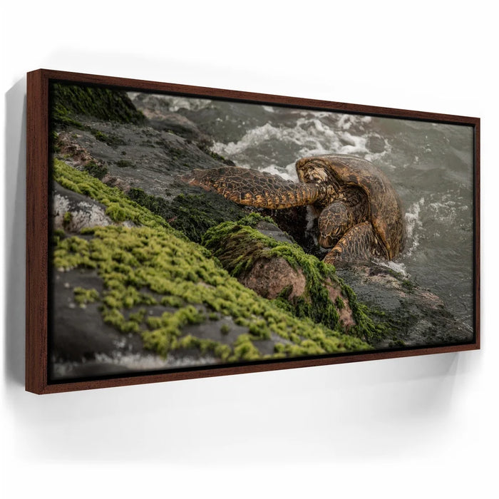 Featured image 10 for Ocean Guardian - Maui, HI