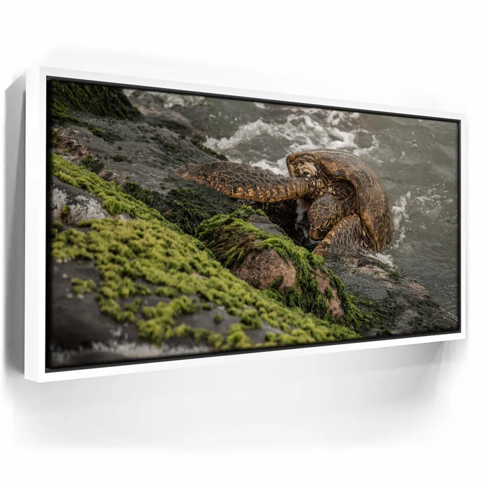 Featured image 6 for Ocean Guardian - Maui, HI