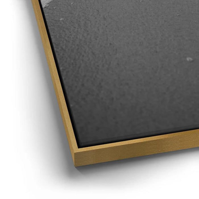 Featured image 12 for Ocean Lines - B&W