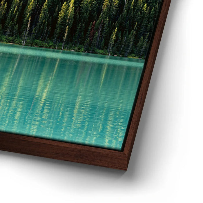 Featured image 14 for On the Border