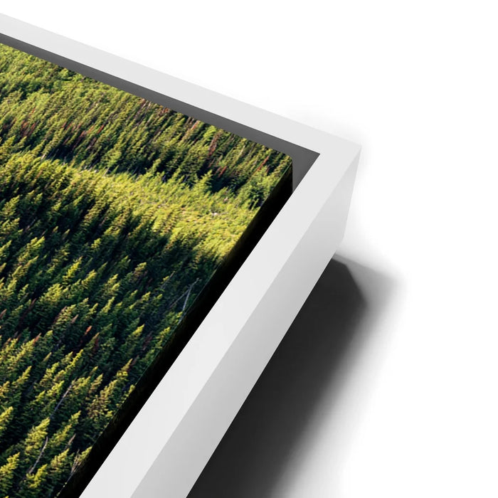 Featured image 13 for On the Border