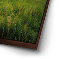 Thumbnail image 14 for Opportunity
