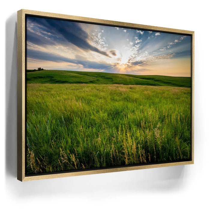 Featured image 7 for Opportunity