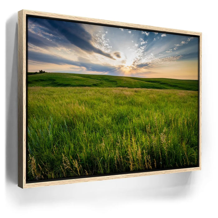 Featured image 9 for Opportunity