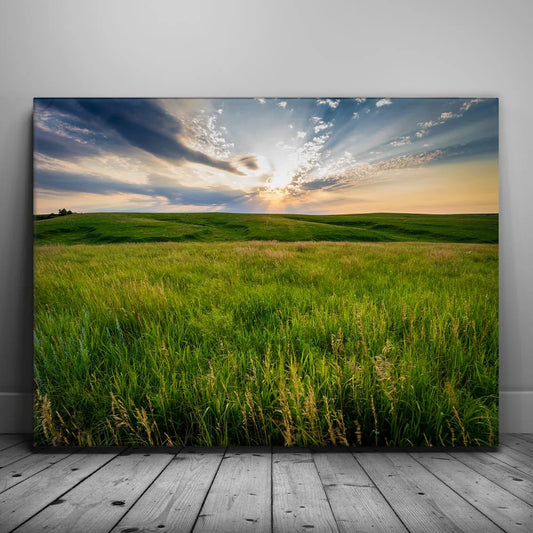 Opportunity Posters, Prints, & Visual Artwork TheGoatWallArt LANDSCAPE 24x18 0.75" STANDARD