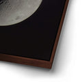 Thumbnail image 14 for Orion in the Spotlight