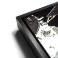 Thumbnail image 11 for Orion in the Spotlight