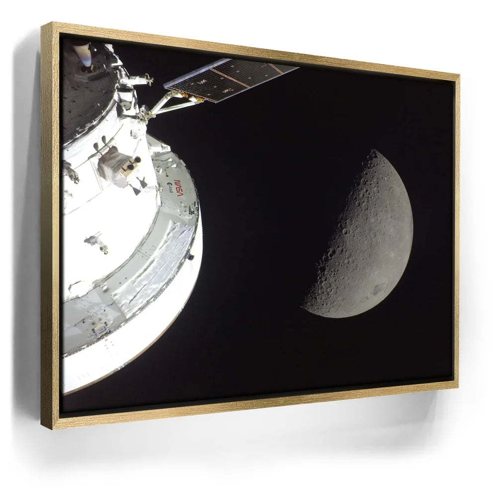 Featured image 7 for Orion in the Spotlight