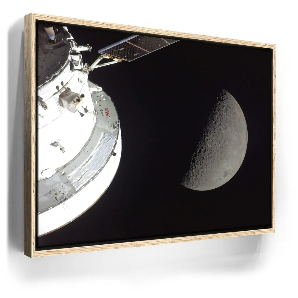 Featured image 9 for Orion in the Spotlight