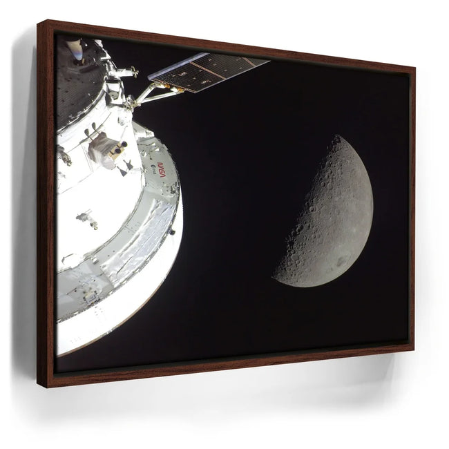 Featured image 10 for Orion in the Spotlight