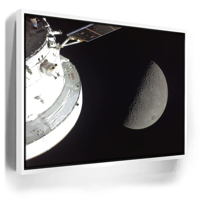 Featured image 6 for Orion in the Spotlight
