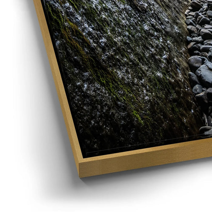 Featured image 12 for Outlook