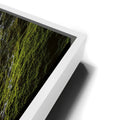 Thumbnail image 13 for Outlook