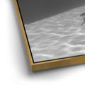 Thumbnail image 12 for Overlap B&W - Tahiti