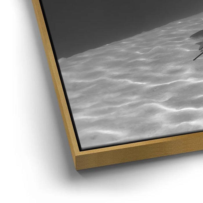 Featured image 12 for Overlap B&W - Tahiti