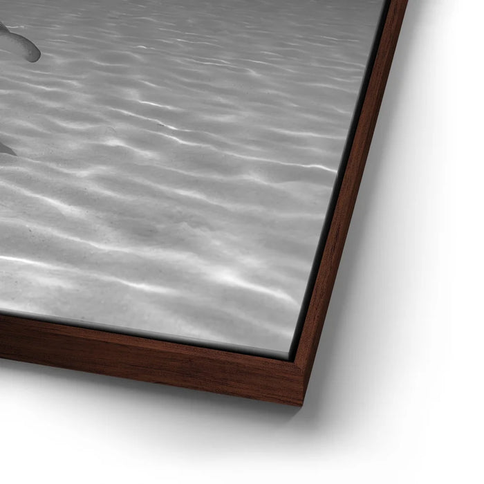 Featured image 14 for Overlap B&W - Tahiti