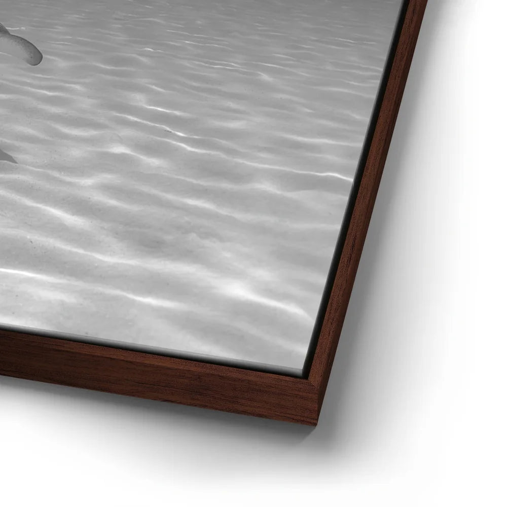 Featured image 14 for Overlap B&W - Tahiti