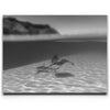 Featured image 1 for Overlap B&W - Tahiti