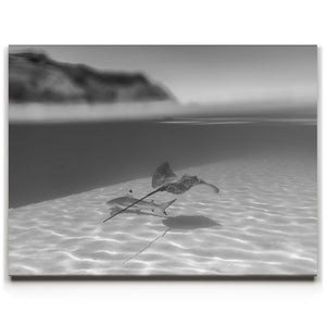 Overlap B&W - Tahiti