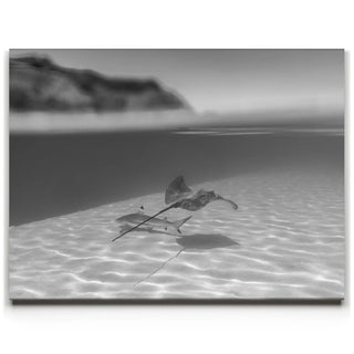 Overlap B&W - Tahiti
