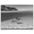 Featured image 1 for Overlap B&W - Tahiti