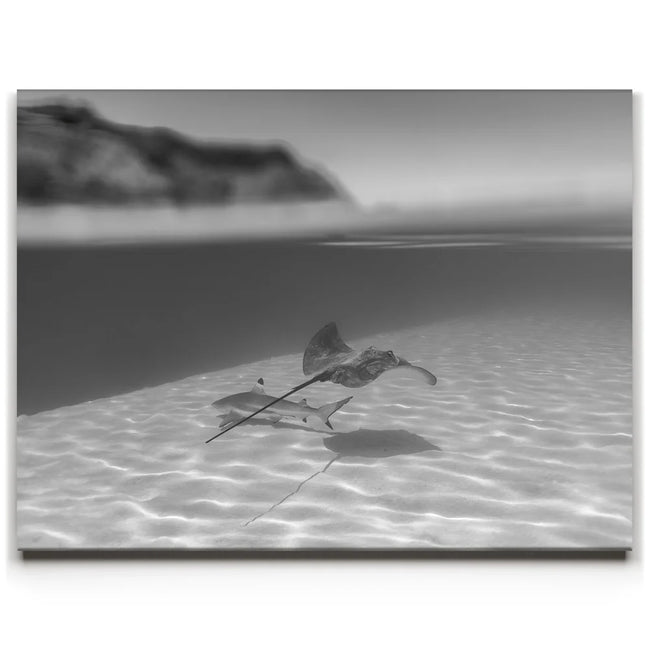 Featured image 1 for Overlap B&W - Tahiti