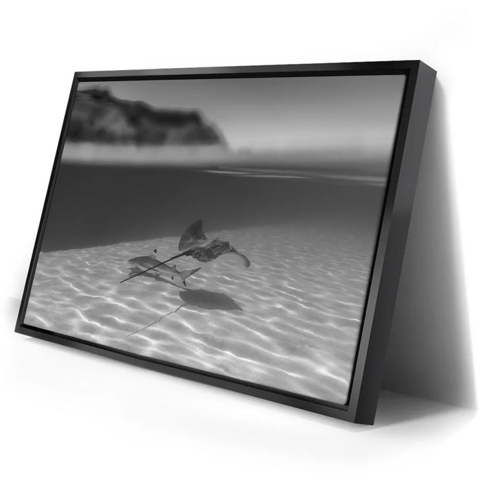 Featured image 2 for Overlap B&W - Tahiti