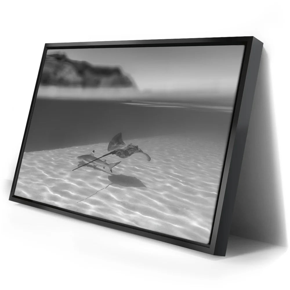 Featured image 2 for Overlap B&W - Tahiti