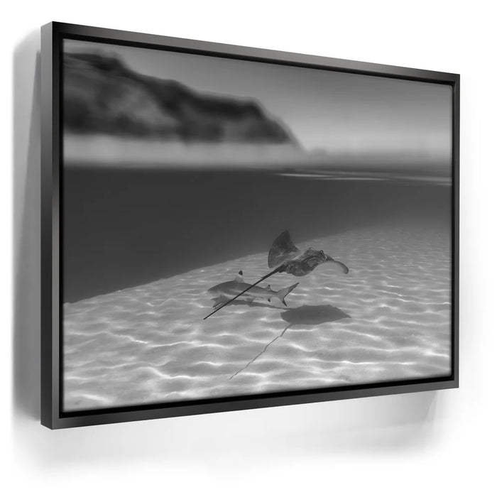 Featured image 5 for Overlap B&W - Tahiti