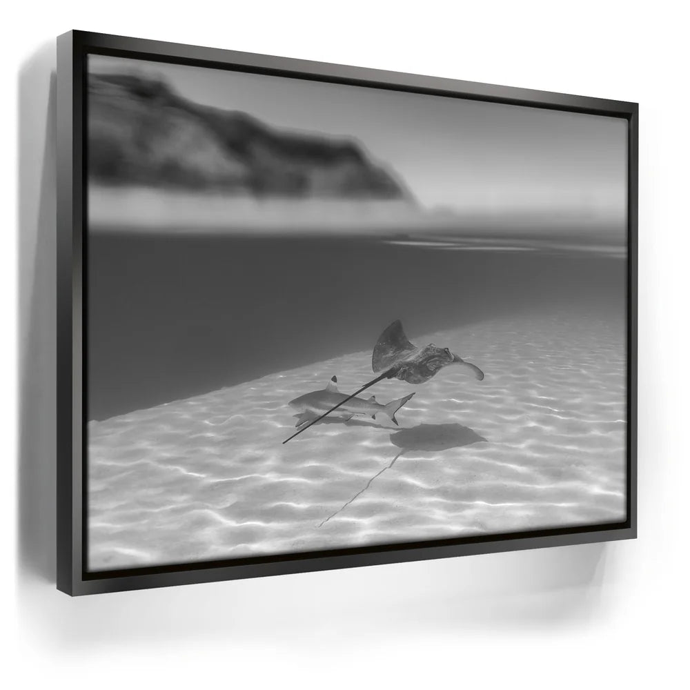 Featured image 5 for Overlap B&W - Tahiti