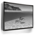 Featured image 5 for Overlap B&W - Tahiti