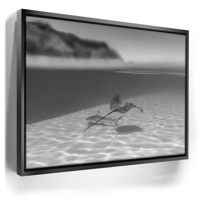 Featured image 5 for Overlap B&W - Tahiti
