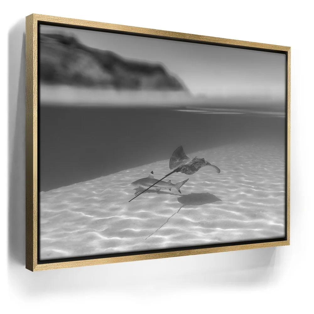 Featured image 7 for Overlap B&W - Tahiti