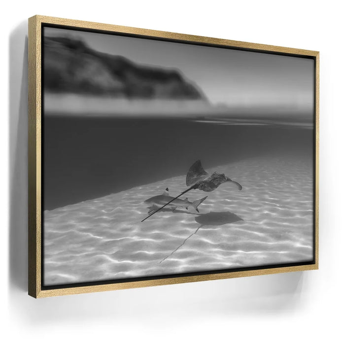 Featured image 7 for Overlap B&W - Tahiti