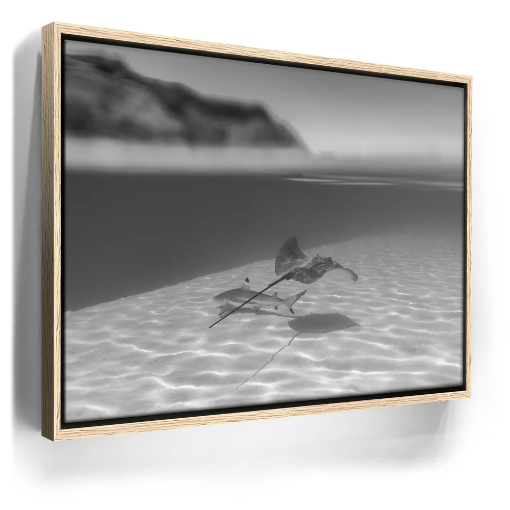 Featured image 9 for Overlap B&W - Tahiti