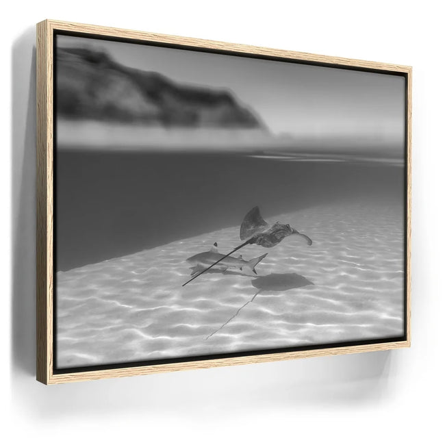 Featured image 9 for Overlap B&W - Tahiti