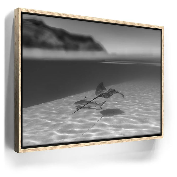 Featured image 9 for Overlap B&W - Tahiti