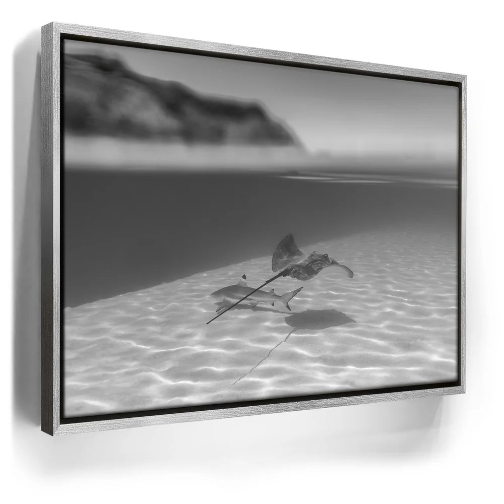 Featured image 8 for Overlap B&W - Tahiti