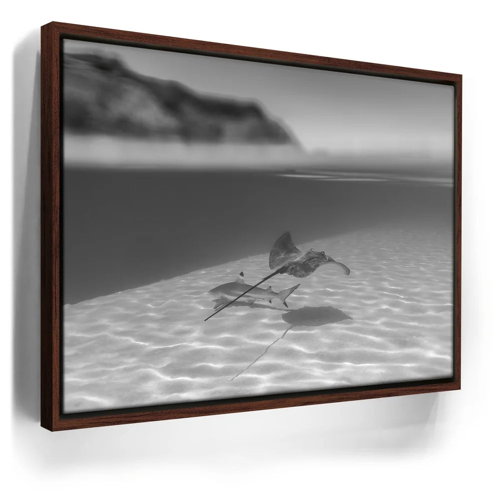 Featured image 10 for Overlap B&W - Tahiti