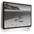 Featured image 10 for Overlap B&W - Tahiti