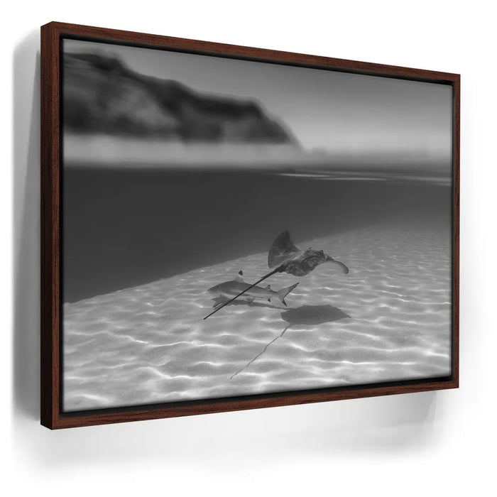 Featured image 10 for Overlap B&W - Tahiti