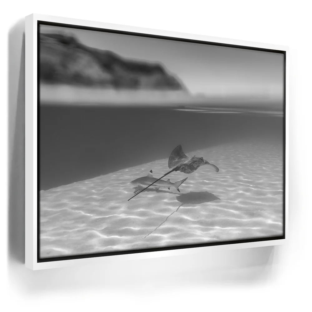 Featured image 6 for Overlap B&W - Tahiti