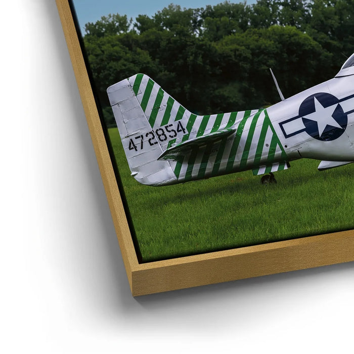 Featured image 12 for P51D Mustang