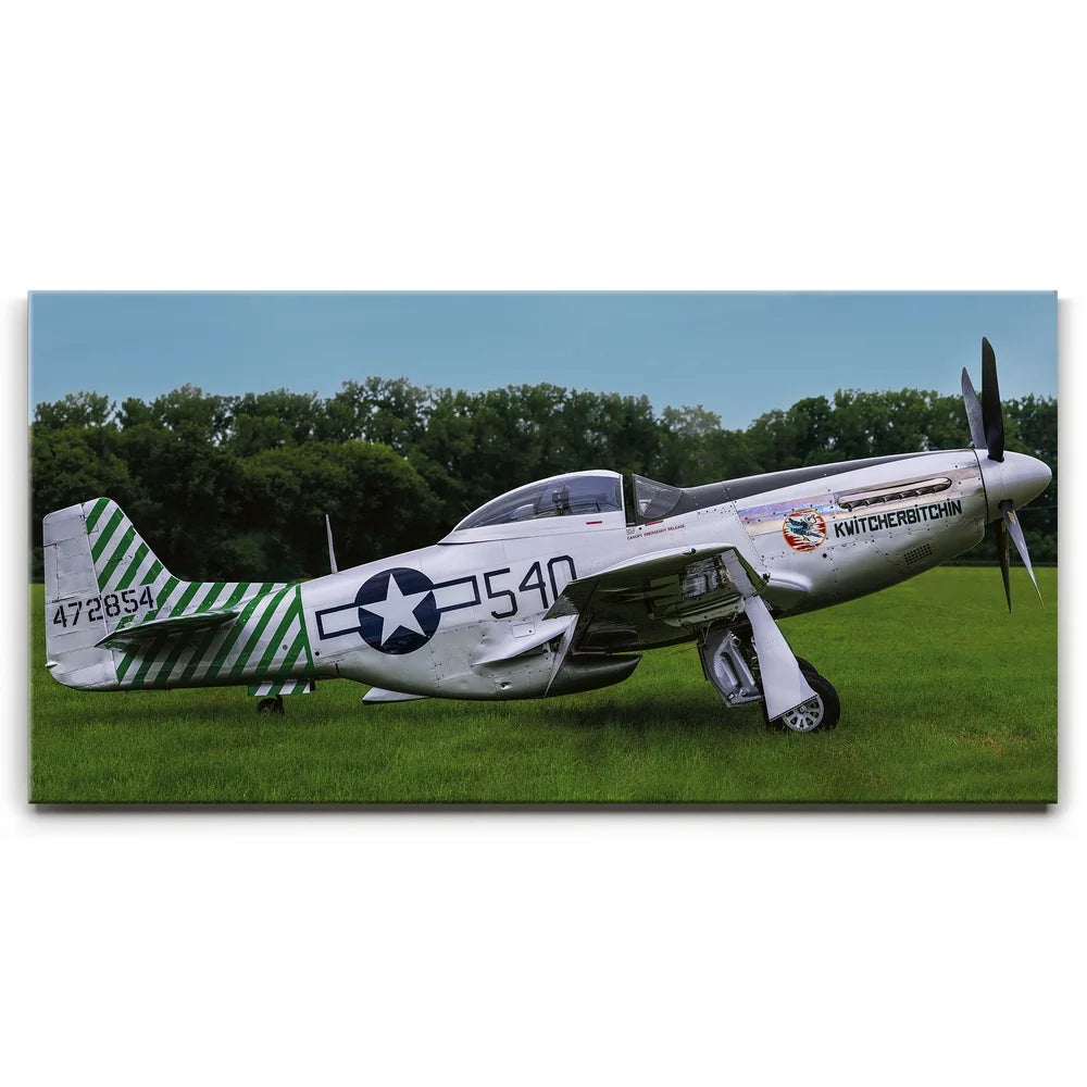 Featured image 1 for P51D Mustang