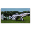 Featured image 1 for P51D Mustang
