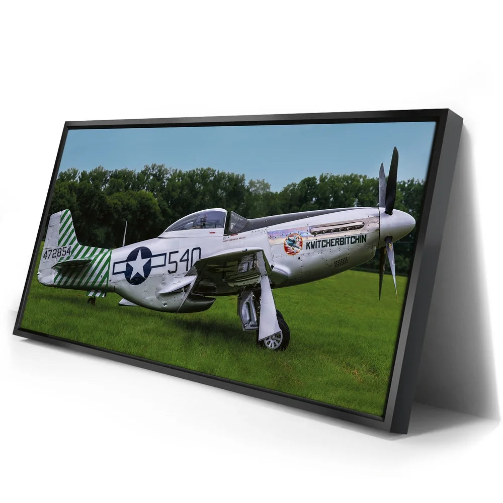 Featured image 2 for P51D Mustang