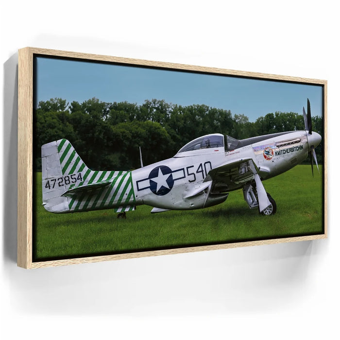 Featured image 9 for P51D Mustang