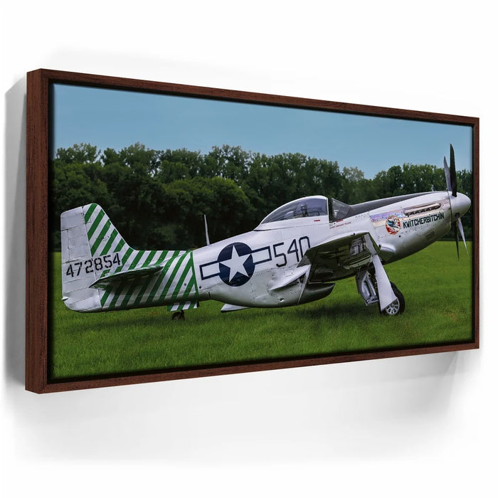Featured image 10 for P51D Mustang